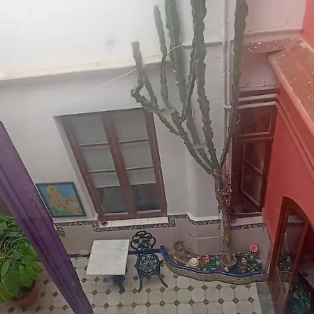 Casa Artistica Bed & Breakfast